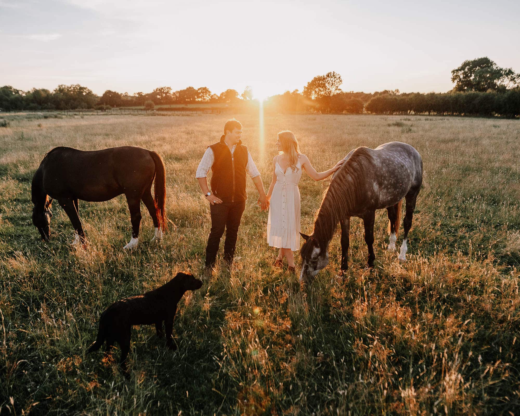 A couple stand between two horses in a field at sunset
